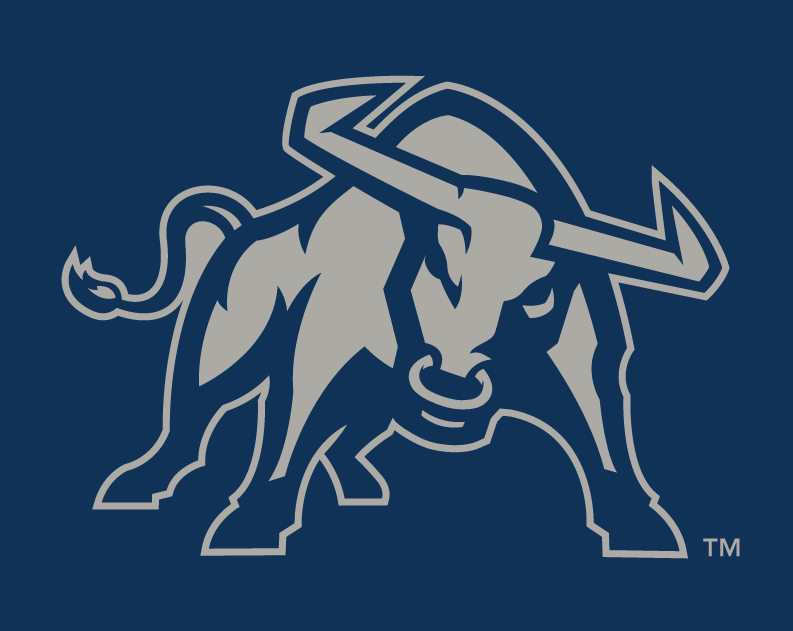 Utah State Aggies 2012-Pres Alternate Logo v3 iron on transfers for T-shirts